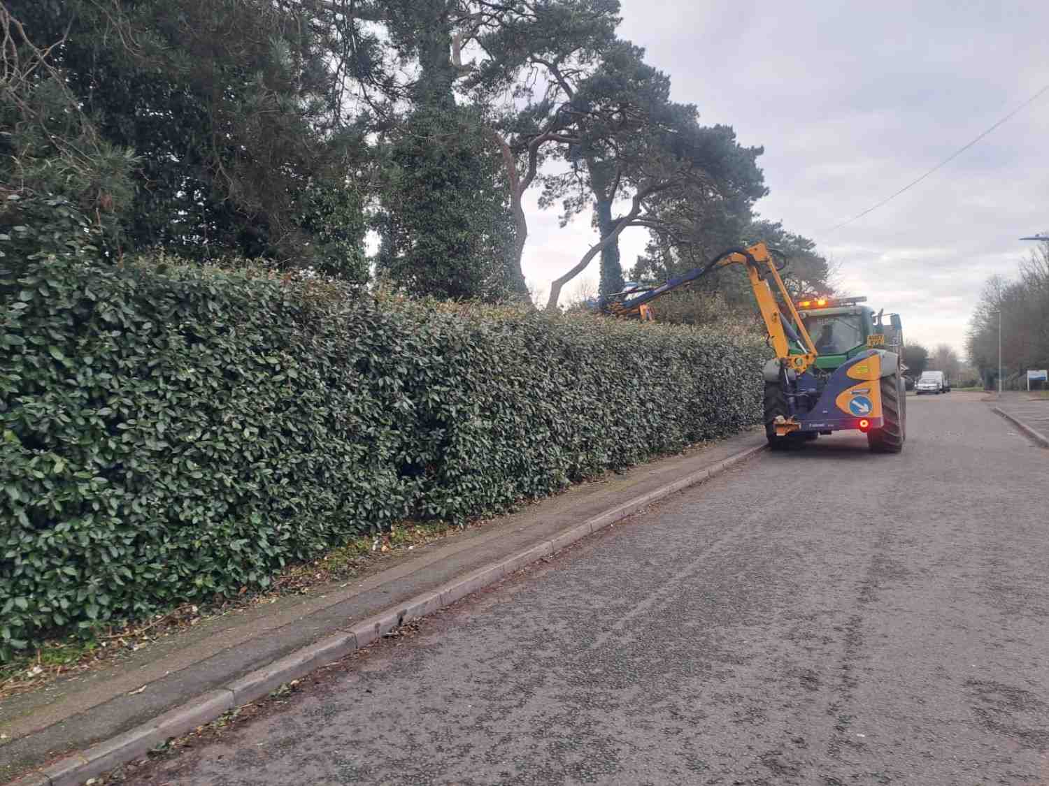 Tractor hedge flail cutting a long roadside hedge