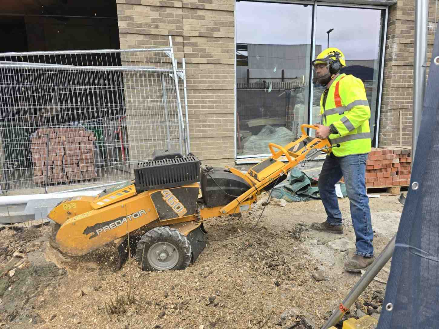 Stump Grinding work and site preparation